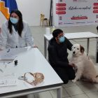 Operativo canino se desarrolló en Porvenir.