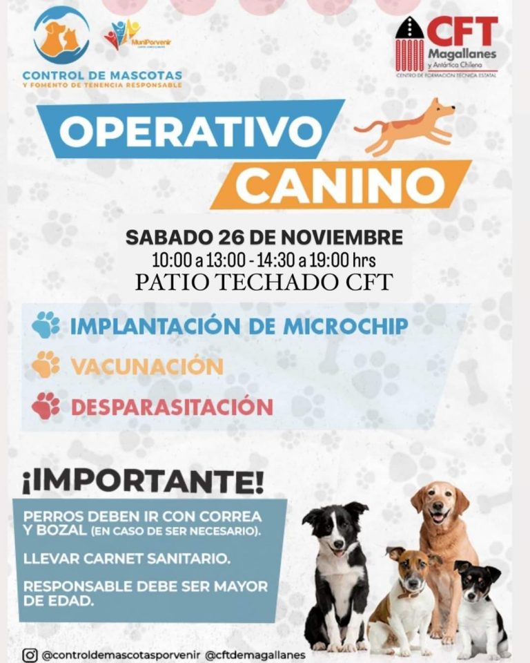 FB_IMG_1669382862663