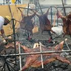 Municipio de Porvenir confirmó la nómina de los inscriptos para el “Asado Internacional más Grande de Tierra del Fuego” 