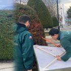 Municipalidad de Porvenir y Servicio Agrícola y Ganadero, unidos en la protección de áreas verdes de la comuna