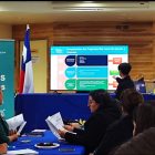 Programa Red Local de Apoyos y Cuidados (PRLAC) Porvenir 2024-2025