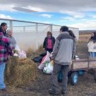 Segunda Minga Compostera: Comunidad y Sustentabilidad en Acción en Porvenir 